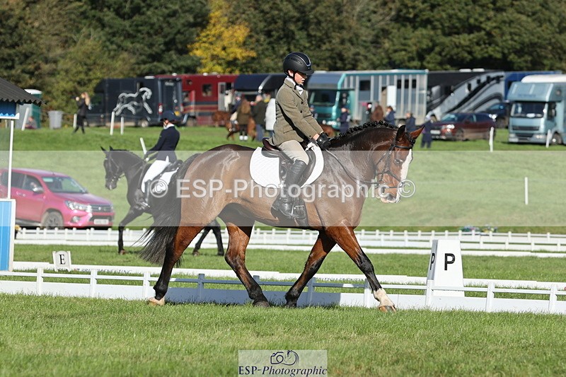 251024A-111935-09946 - D-351-Thomas.Harris