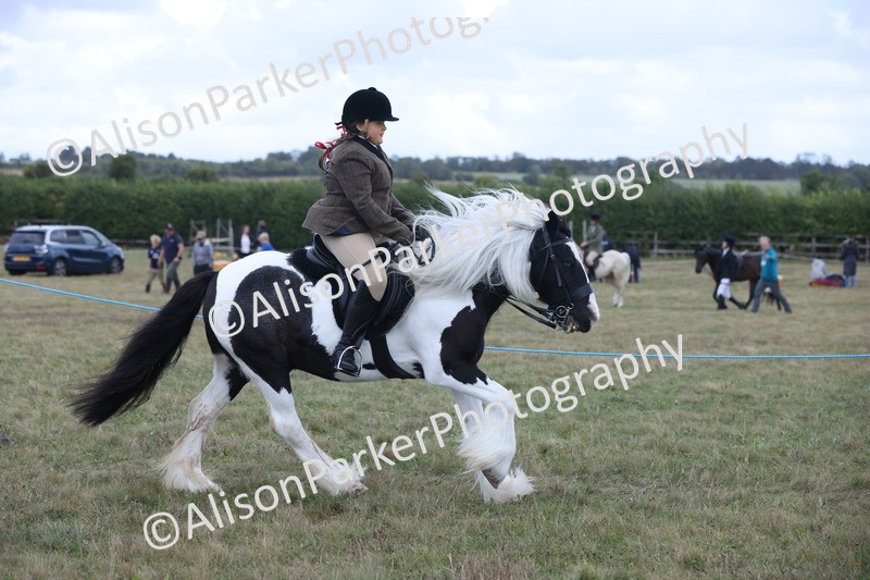 20250831-4256 - Class 20 - Ridden Coloured