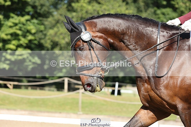 240719-092359-00134 - 305-Eleanor_Halton-Fairway's_Finale