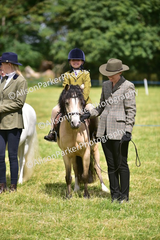 20260614-1205 - Class 11a - Lead Rein Pony (Unplaited)