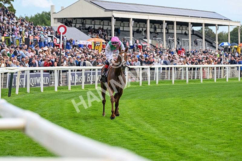 190826-Race 4-Item-0513 - Race 4 15.35pm Juddmonte International Stakes