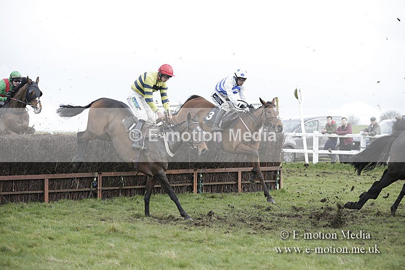 PtP 150320 0598 - New Forest Point-to-Point Larkhill 15/03/20