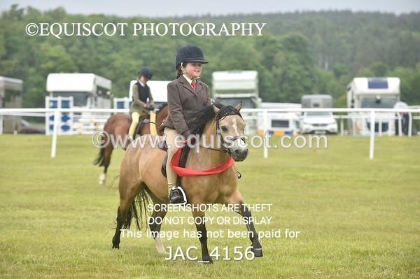 JAC_4156 - 40CM WORKING HUNTER