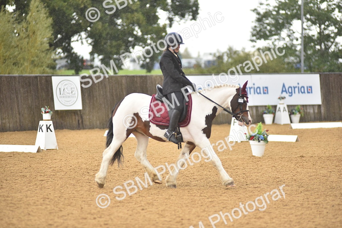 SBM_00457 - D7 - Small Tour Championship Prelim 2