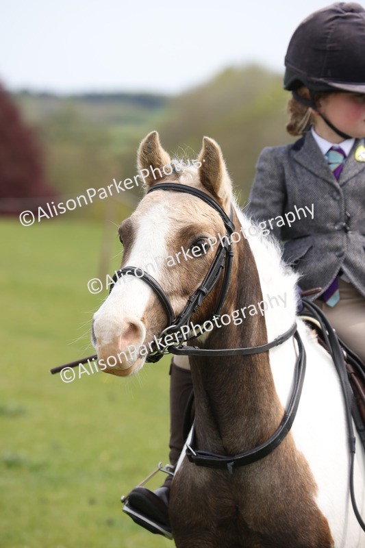 20260426-3054 - Class 33 - Best Pony 14.2hh and Under