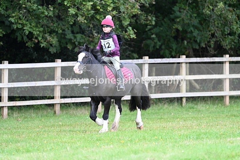 WJ7_7293 - 40cm Time 10:06 to 10:24