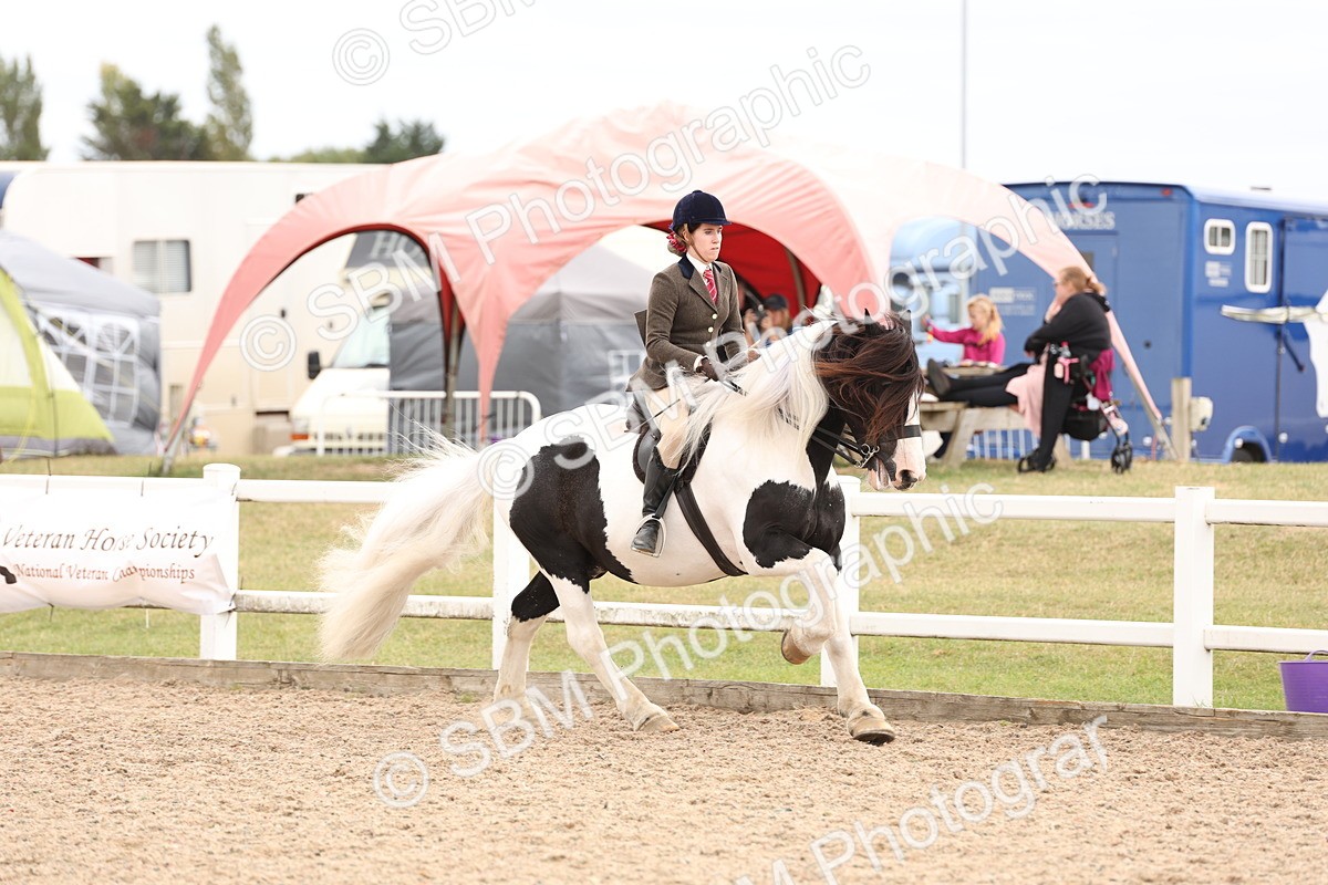 SBM_19666 - Class 216 - Ridden Traditional - Native Cob