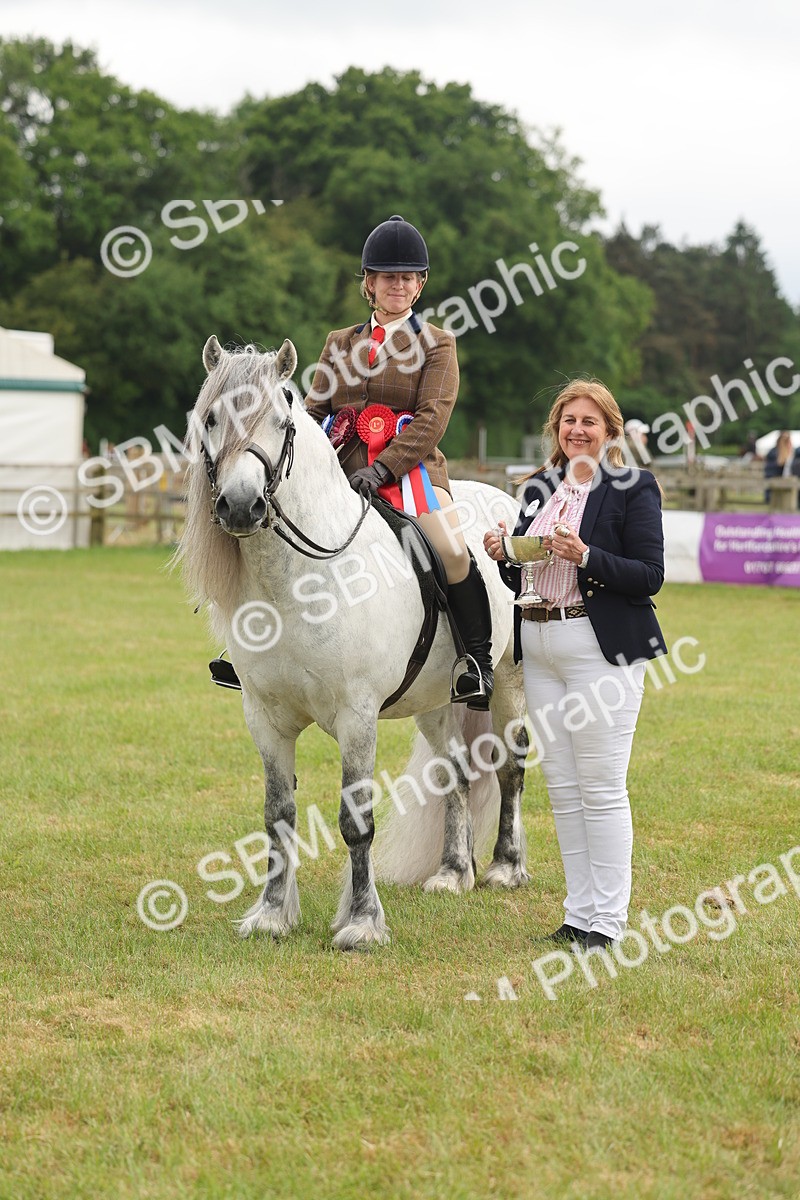 SBM_09150 - Class 78-80 - Ridden M&M Non Welsh Ponies