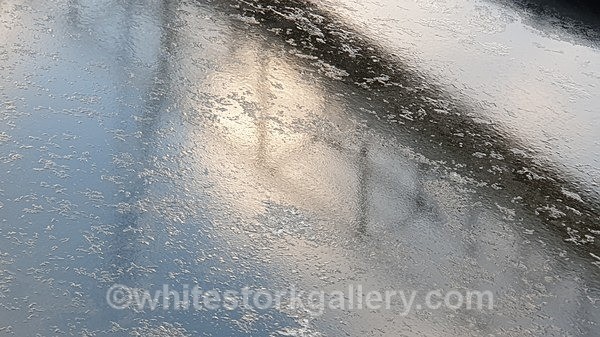  - NEW Winter Reflection