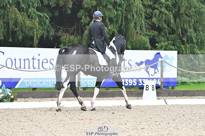 231019-103221-01886 - 101-RICARDO.COLOURS.II-Elizabeth.Wadey-DR