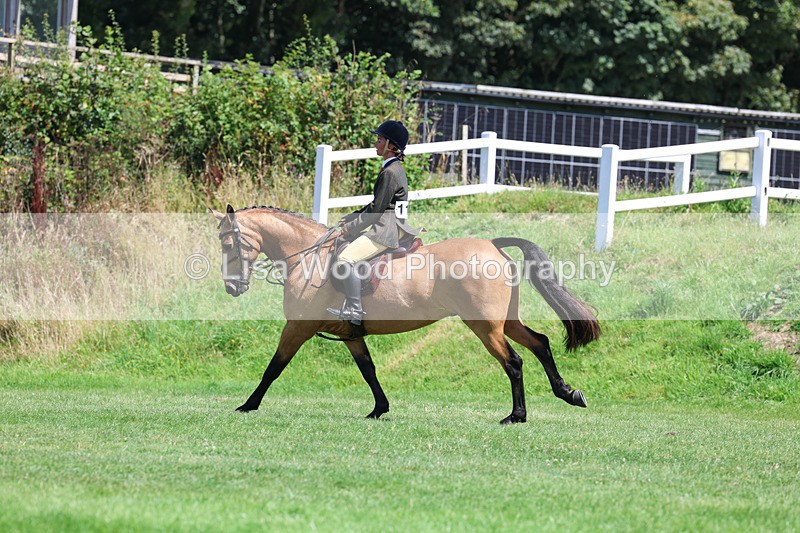 3E7A9205 - Working Hunter Championship