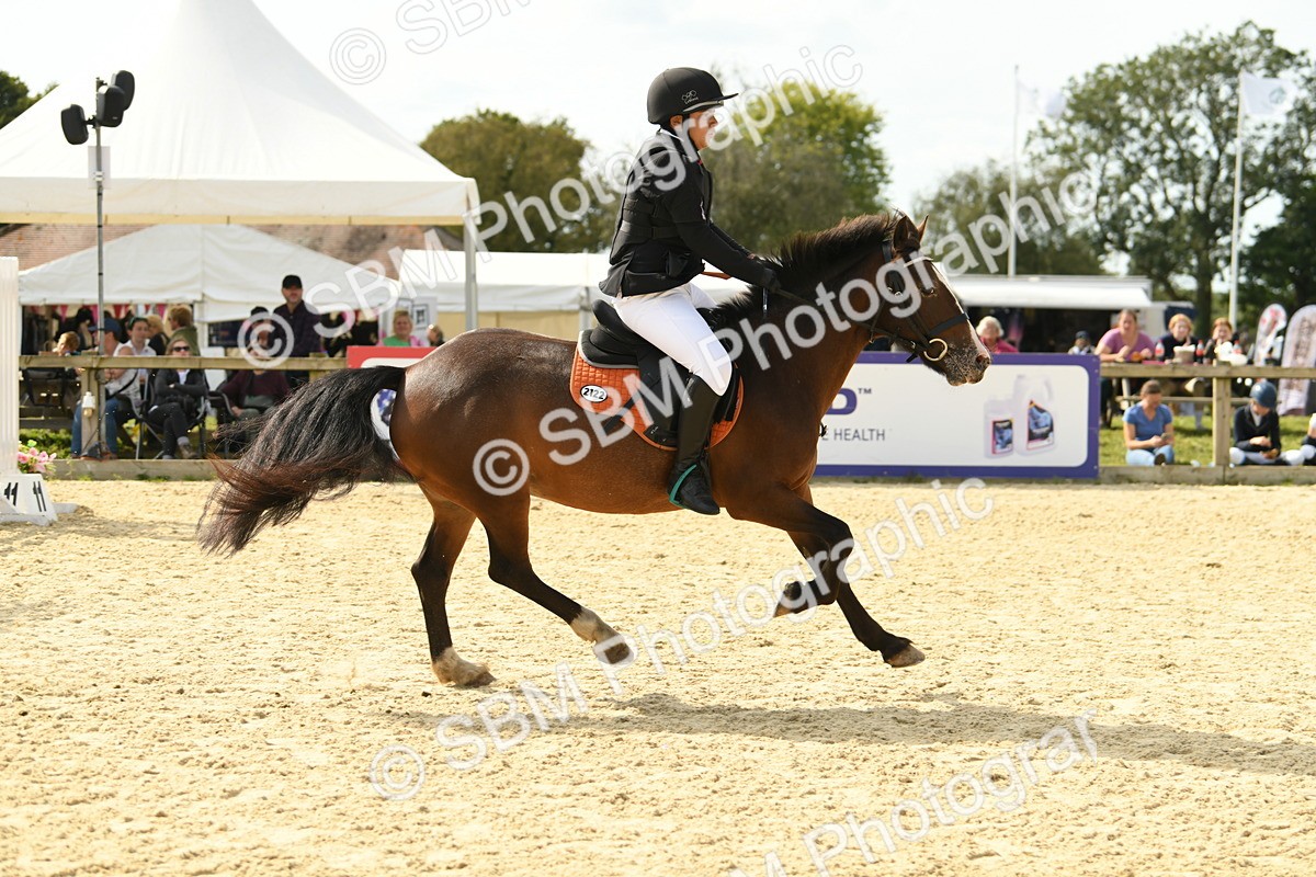 SBM_69189 - J15 - Junior Pony 70cm Championship