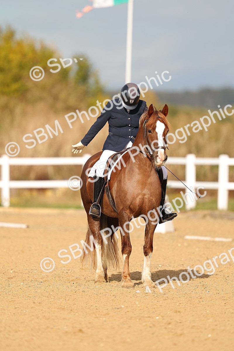 SBM_009310