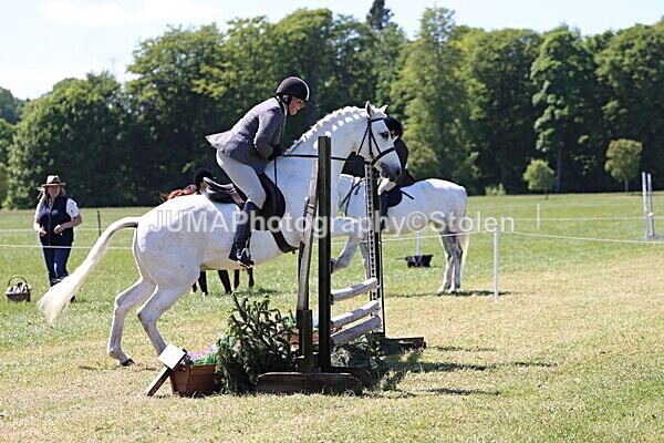 IMG_3979 - Working Hunter