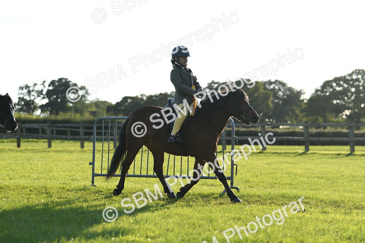SBM_54210 - S23 - 1st Ridden Mountain & Moorland Pony