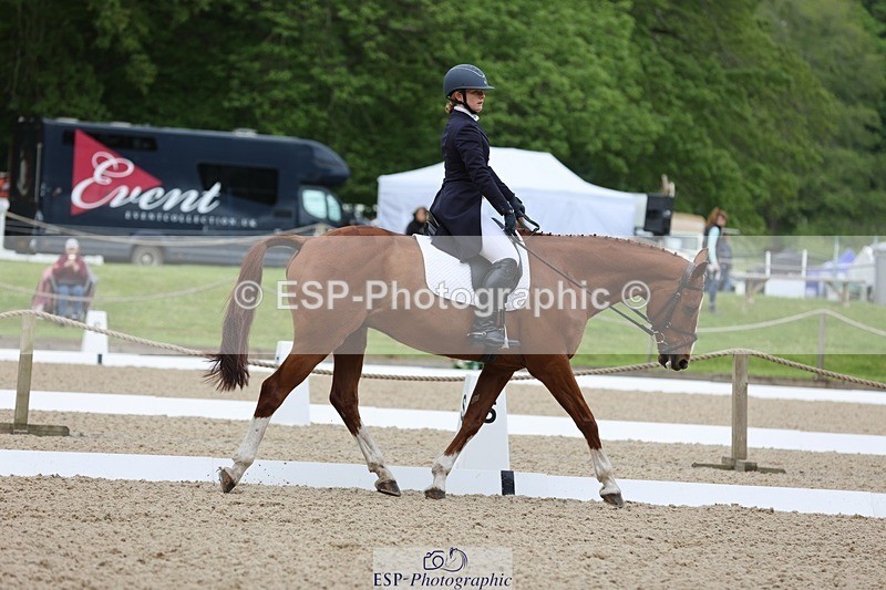 240524-090501-07052 - 251-MILESTONE_GOLD-Gaby_Bull