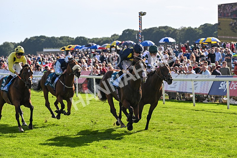 060926-Race 5-Extremely Zain-8401 - Race 5 3.50pm Starman At Tally Ho Stud Garrowby Stakes
