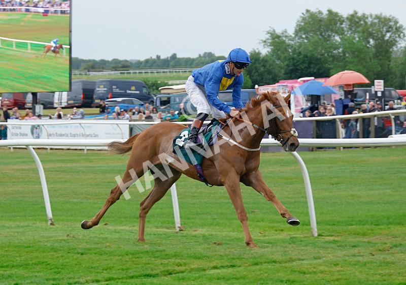 240525-Race 2-Hype Merchant-4 - Race 2