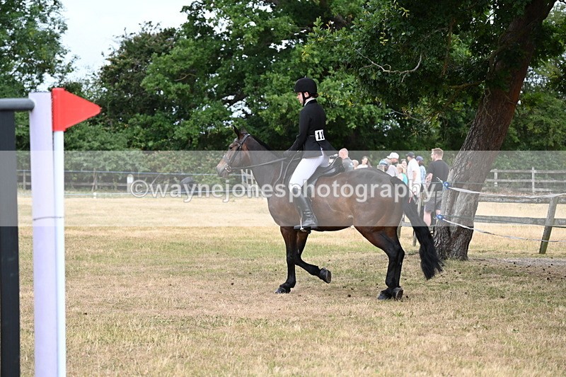WJ6_3958 - Class 9 Tack & Turnout