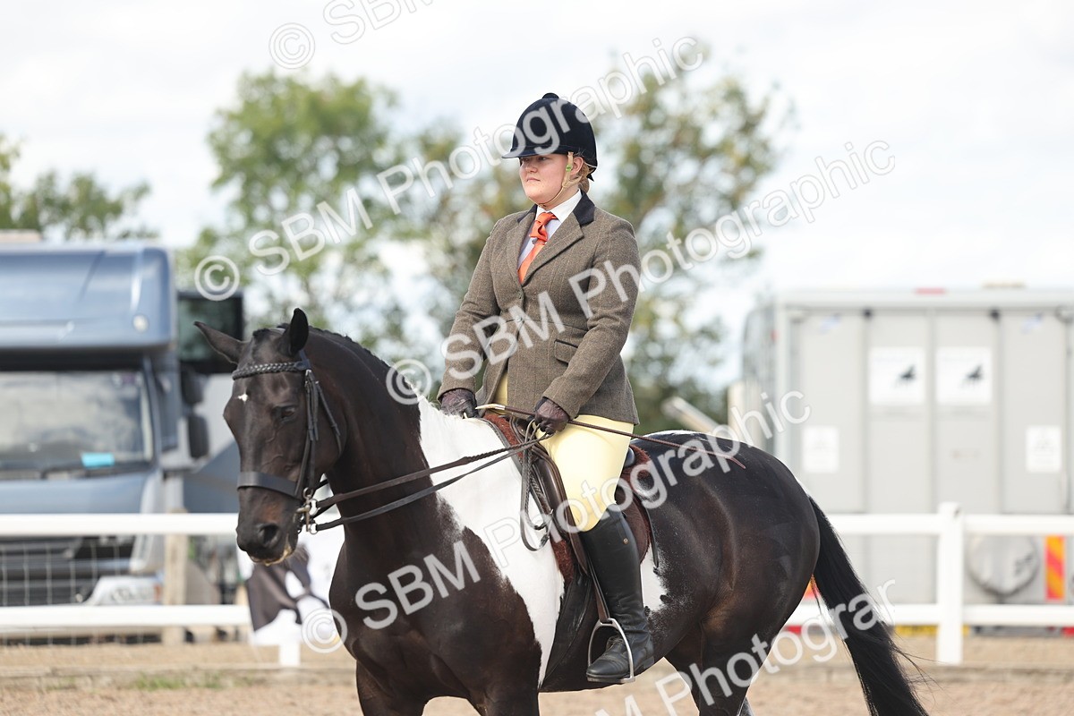 SBM_14834 - Class 308 - Ridden Coloured Horse