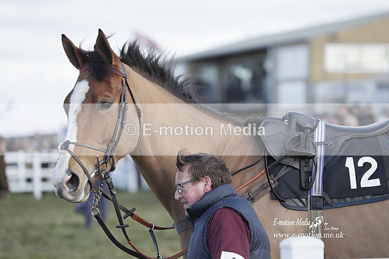 PtP 260223 1010 - South & West Wilts Point-to-Point Larkhill 26/02/23
