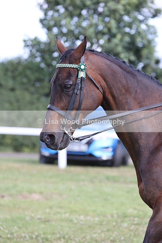 JPP_1228 - Class 17: Cornish Combination Open