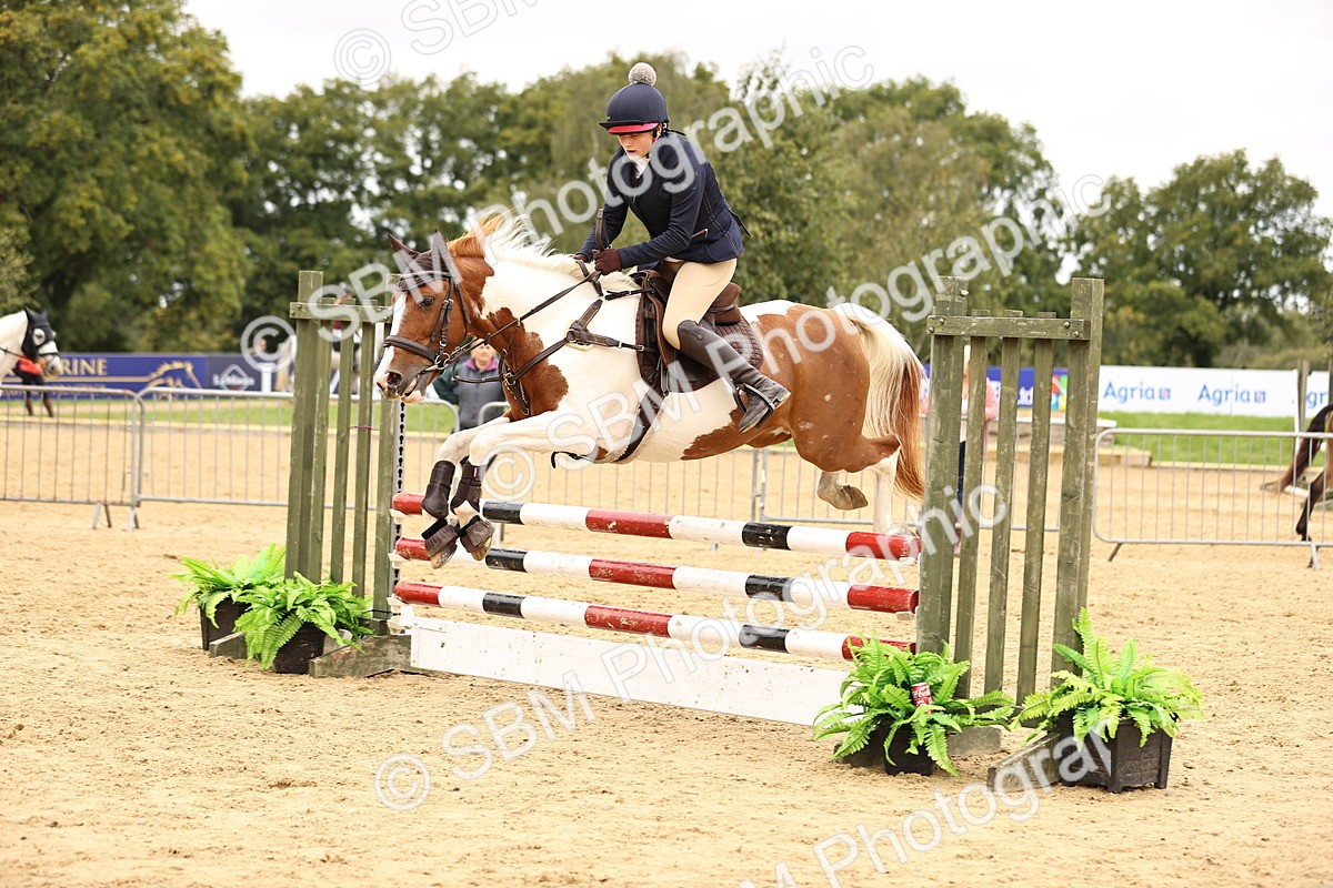 SBM_65567 - J17 - Junior Pony 80cm Championship