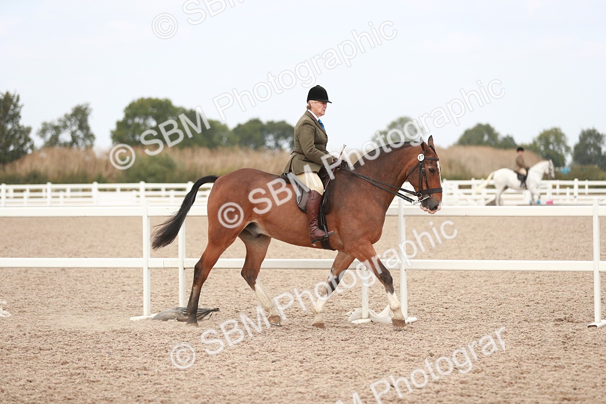 SBM_16607 - Class 214 Ridden Cob