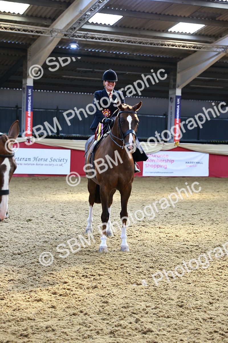 SBM_12800 - HOYS Veteran Qualifier - Ridden Champ