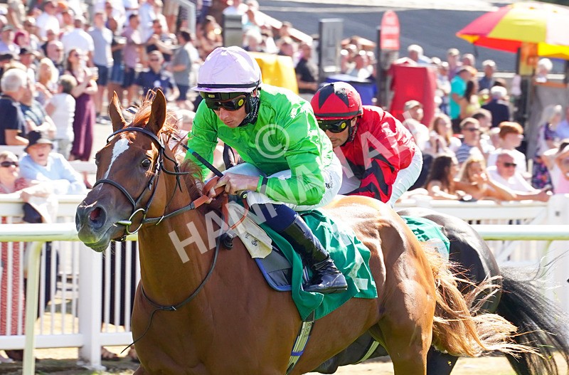 240726-Race 5-Zooella-01657 - Race 5 16.18pm NRFC Leading Roof Excellence Fillies' Handicap