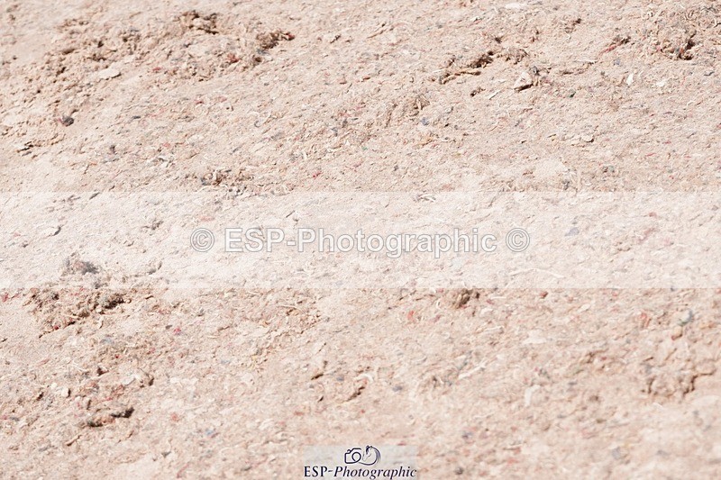 250510-130314-11371 - Cls 15 Prestige Big Star Quali  2nd Jump Off