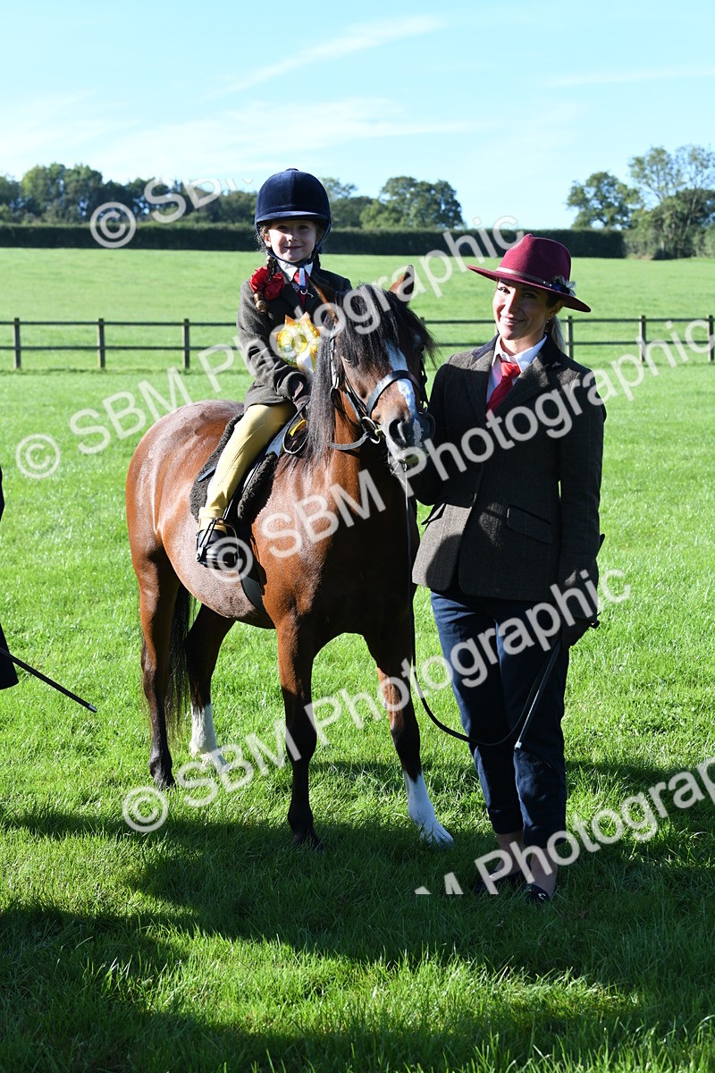 SBM_35486 - S17 - Condition & Turnout - Lead Rein