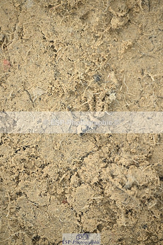 240822X-143823-10481 - 50cm R1 14.00 to 15.00