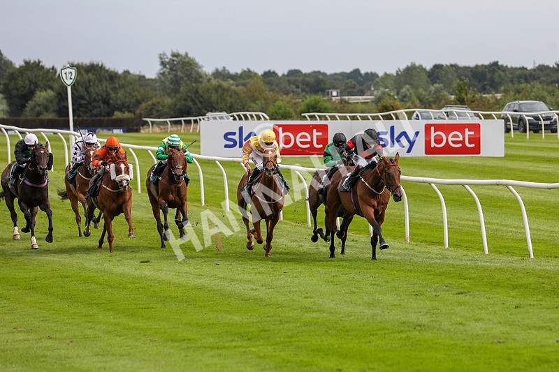 240724-Race 4-Swinging Eddie-3507 - Race 4