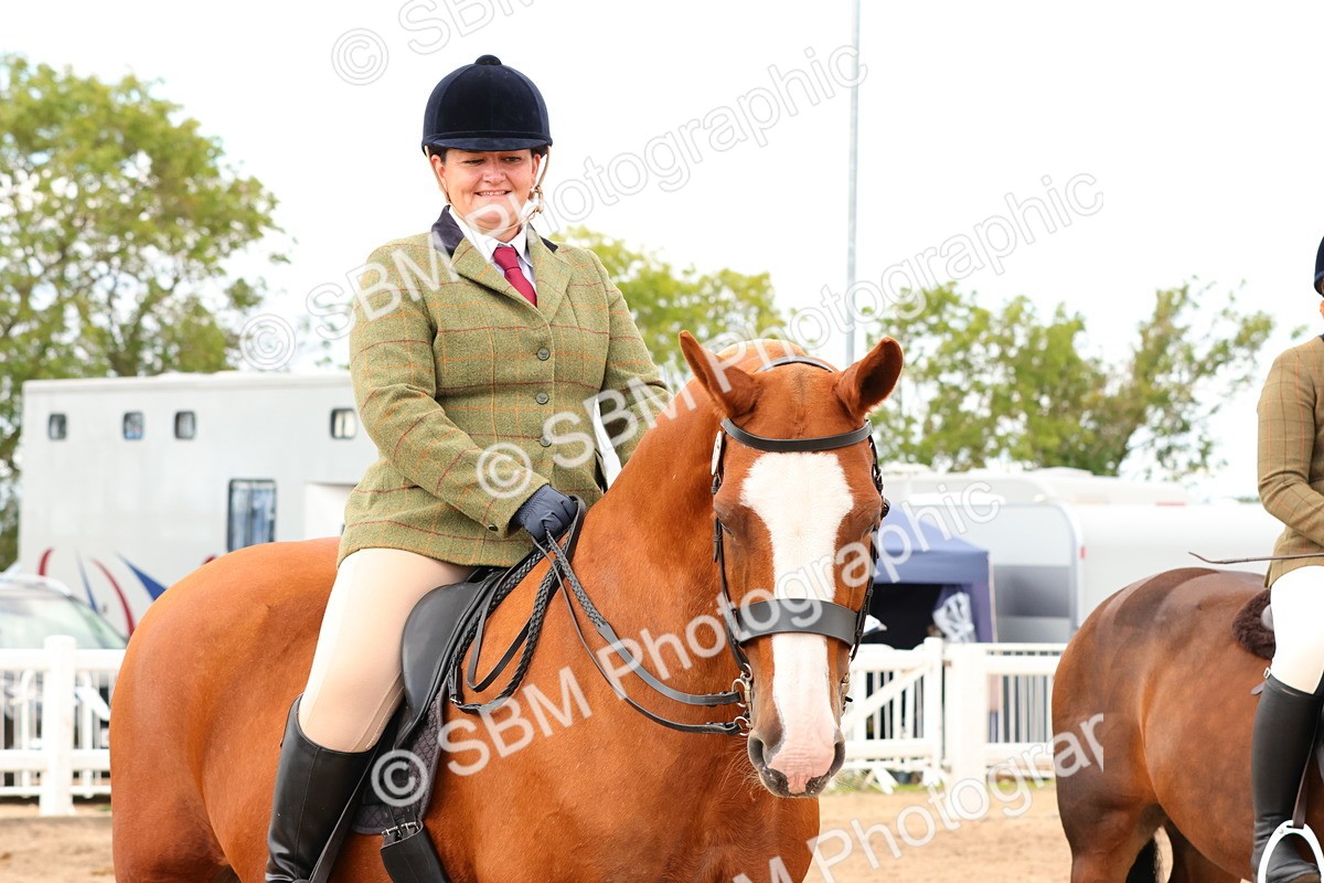 SBM_15525 - Class 214 - Ridden Show Cob