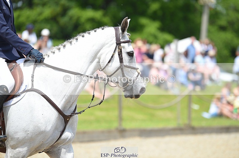 230528-125912-15942 - 314-CHANTILLY_AMATULLAH-Gaspard_Maksud-SUNTrotUp+SJ