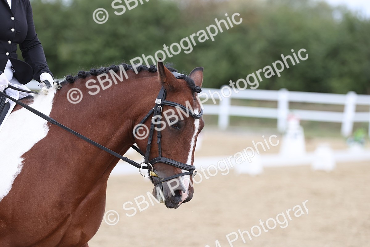 SBM_003588 - Class 6 - Prelim 3 Champs