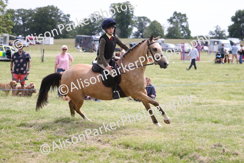 20260614-4048 - Class 24 - Mini and Major Pairs Jumping