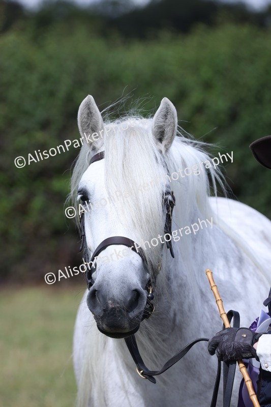 20250831-1710 - Class 22 - Mountain and Moorland Inhand