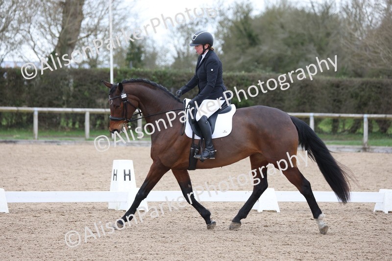 20260301-0439 - Class 3 - Novice 4