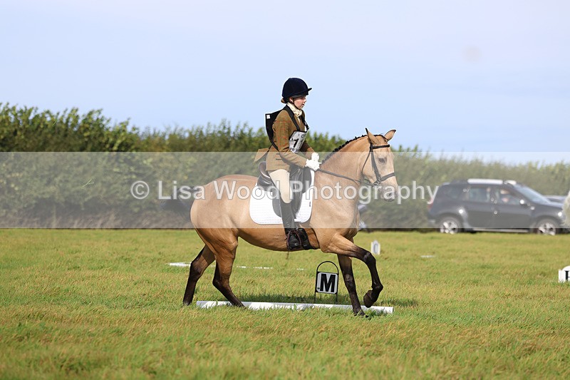 3E7A6102 - Class 1: Trebudannon Open: Dressage (Part 2)
