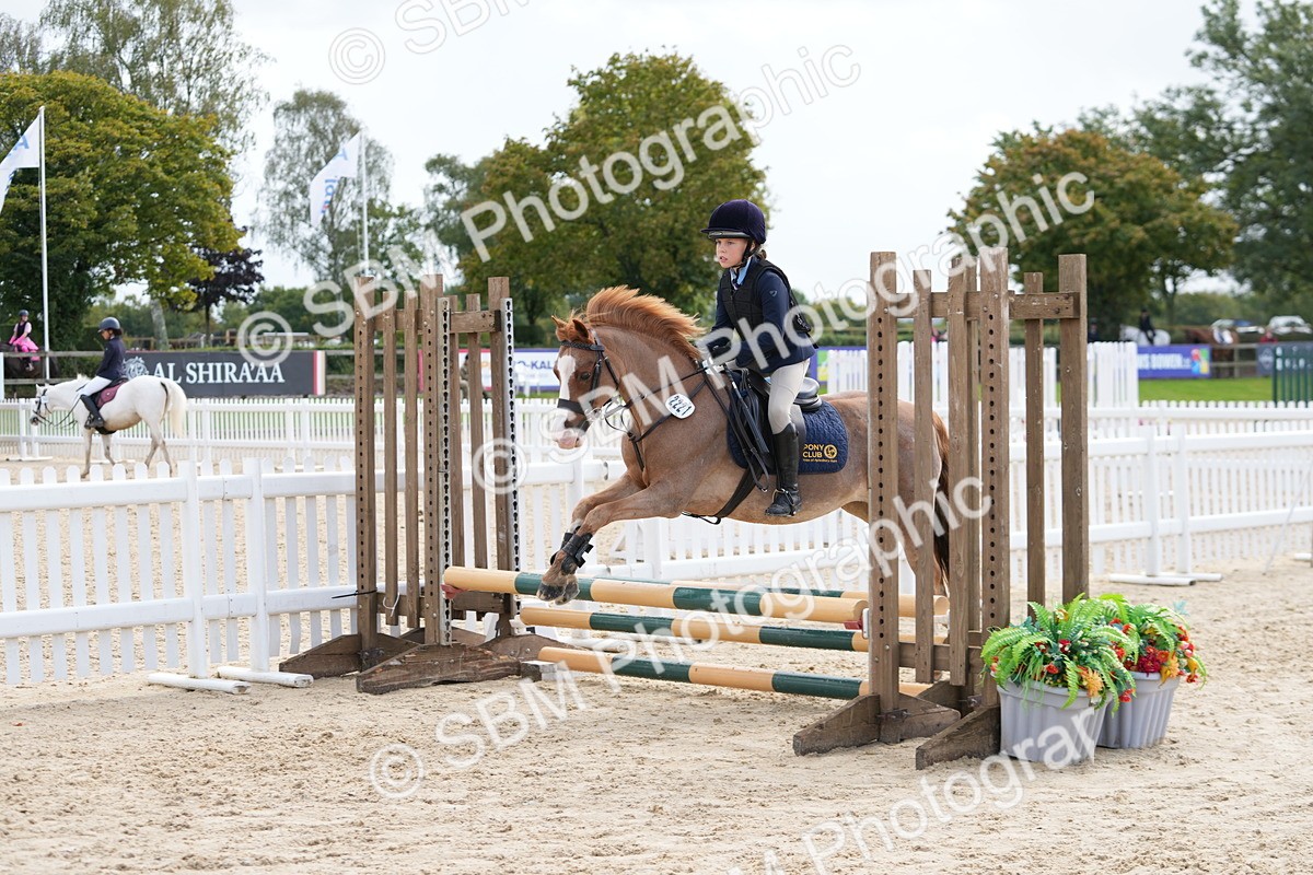 SBM_40738 - Supreme Championship Pony 50-55cm