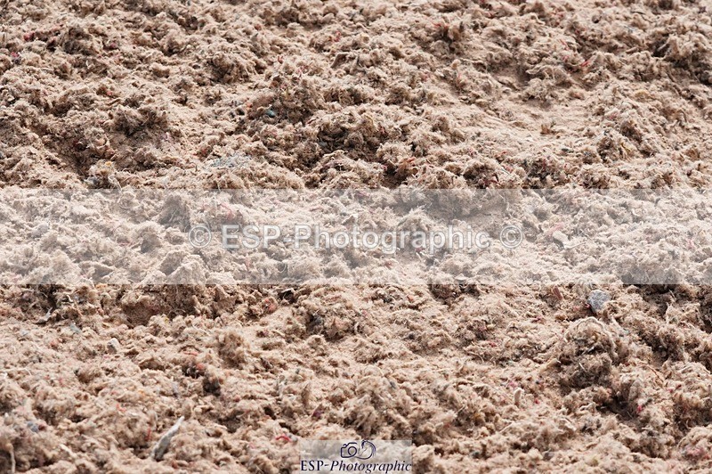 250523-164554-02894 - Cls 07 1.00m Speed Derby