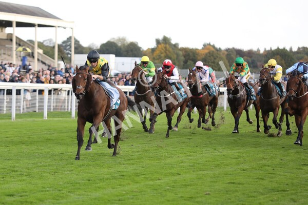 yr07102022r5-19 - Race 5 4.25pm Copper Knight Winningmost Horse Stakes