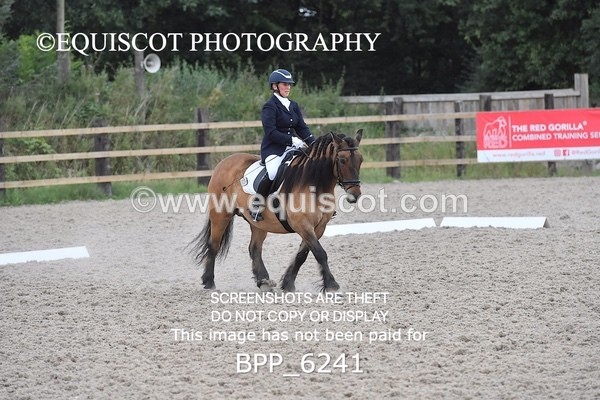 BPP_6241 - ELEMENTARY TEST 4 LONG ARENA