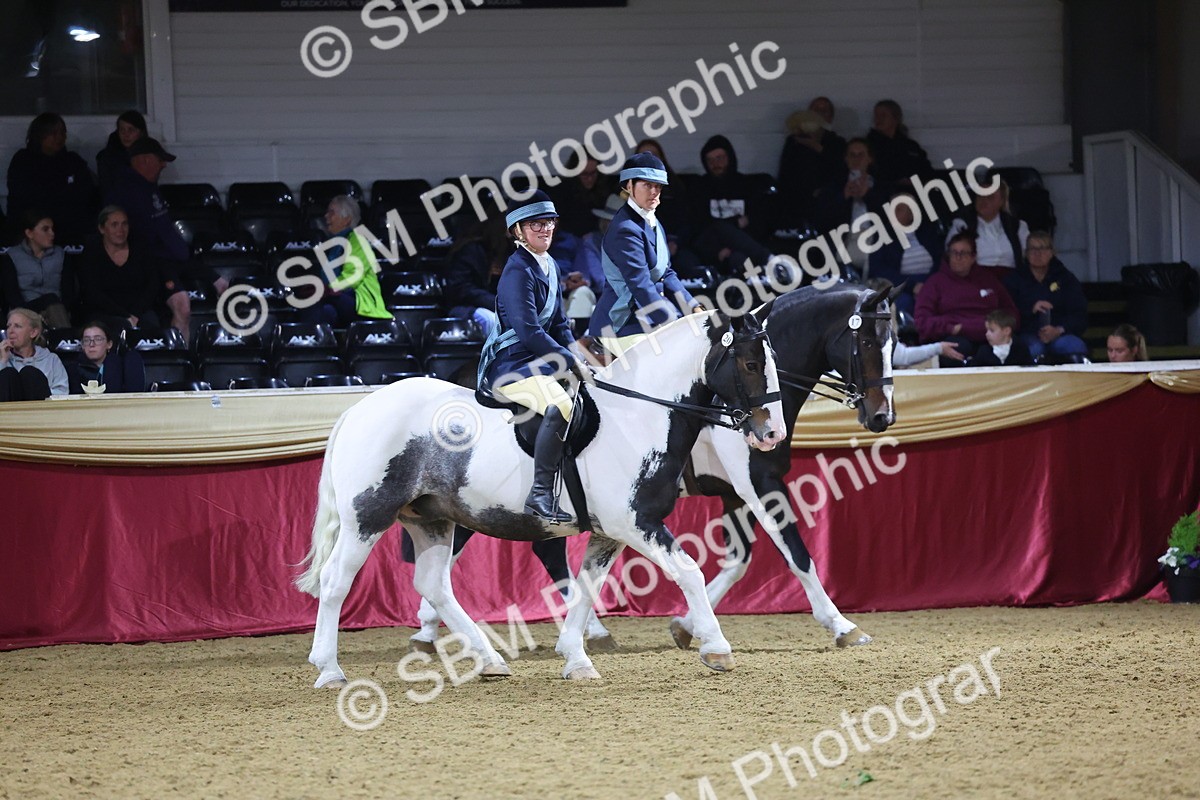 0B8A4332 - Class M Ridden Pairs Champ