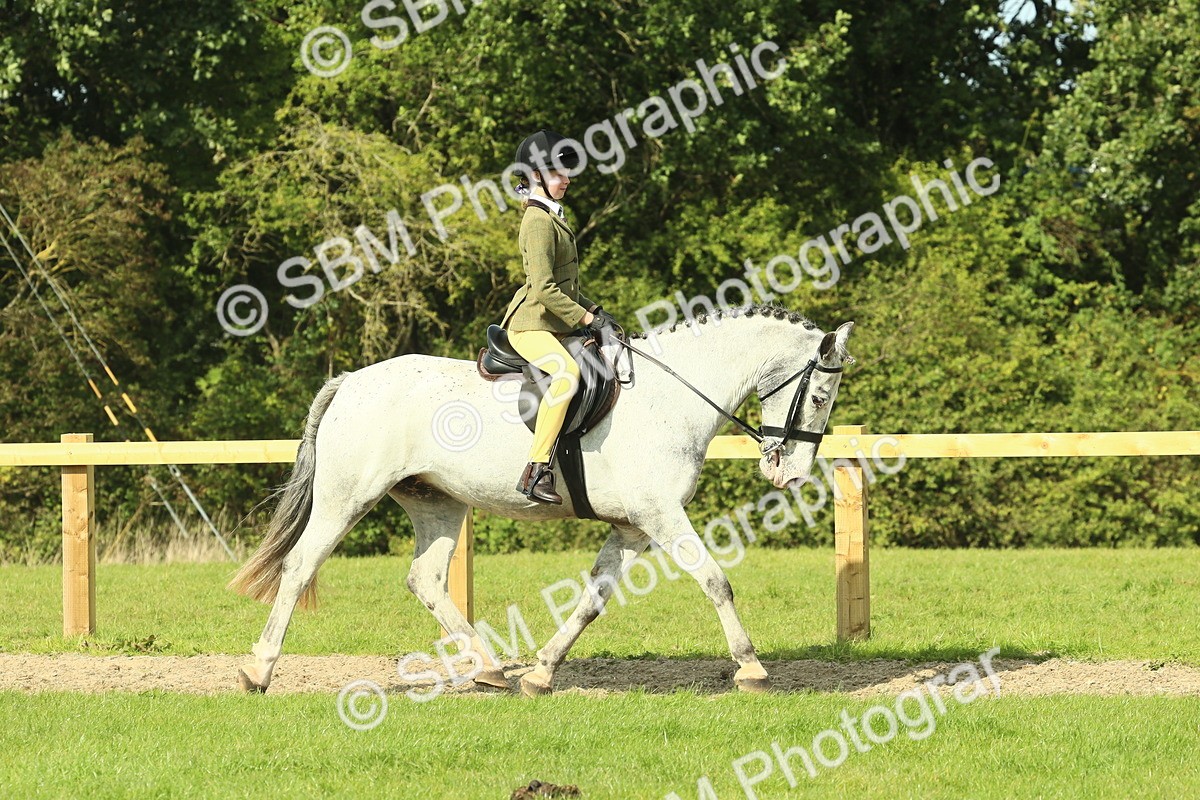 SBM_67424 - S56 - Coloured Pony Ridden