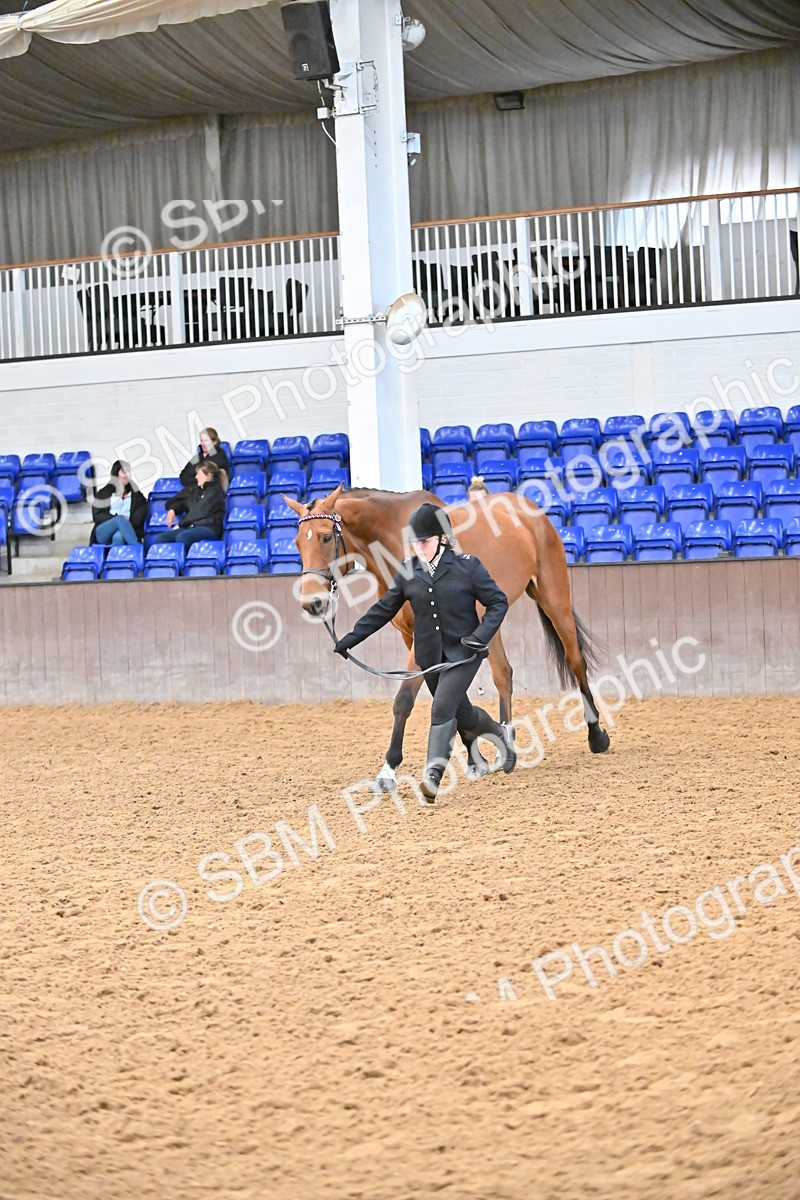 SBM_000151 - Class 6 - BSHA In Hand Racehorse to Show Horse