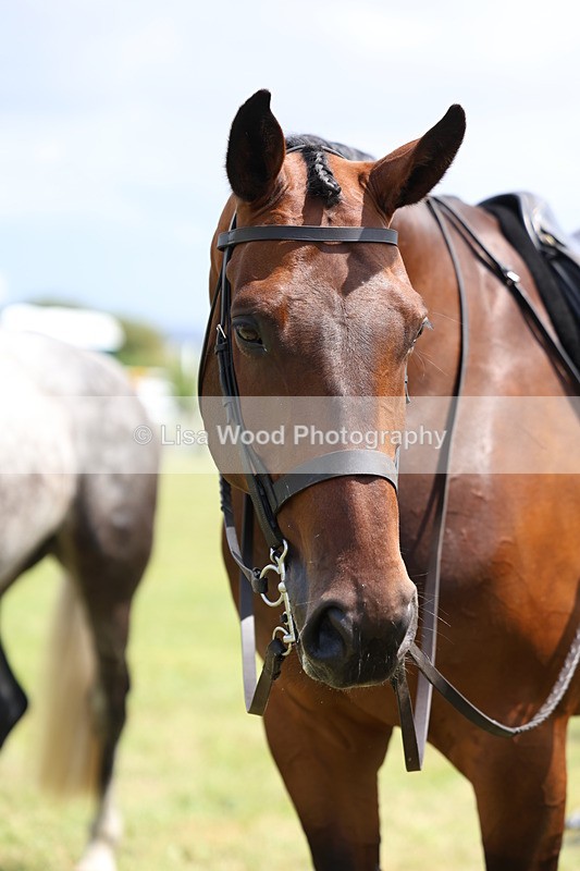 3E7A1604 - Class 9: Open Hunter