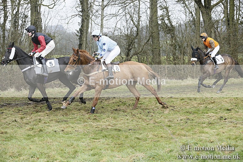 PtP 020418 -383 - Old Berks Point-to-Point Races Easter Monday 02/04/18